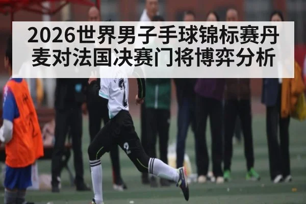 2026世界男子手球锦标赛丹麦对法国决赛门将博弈分析